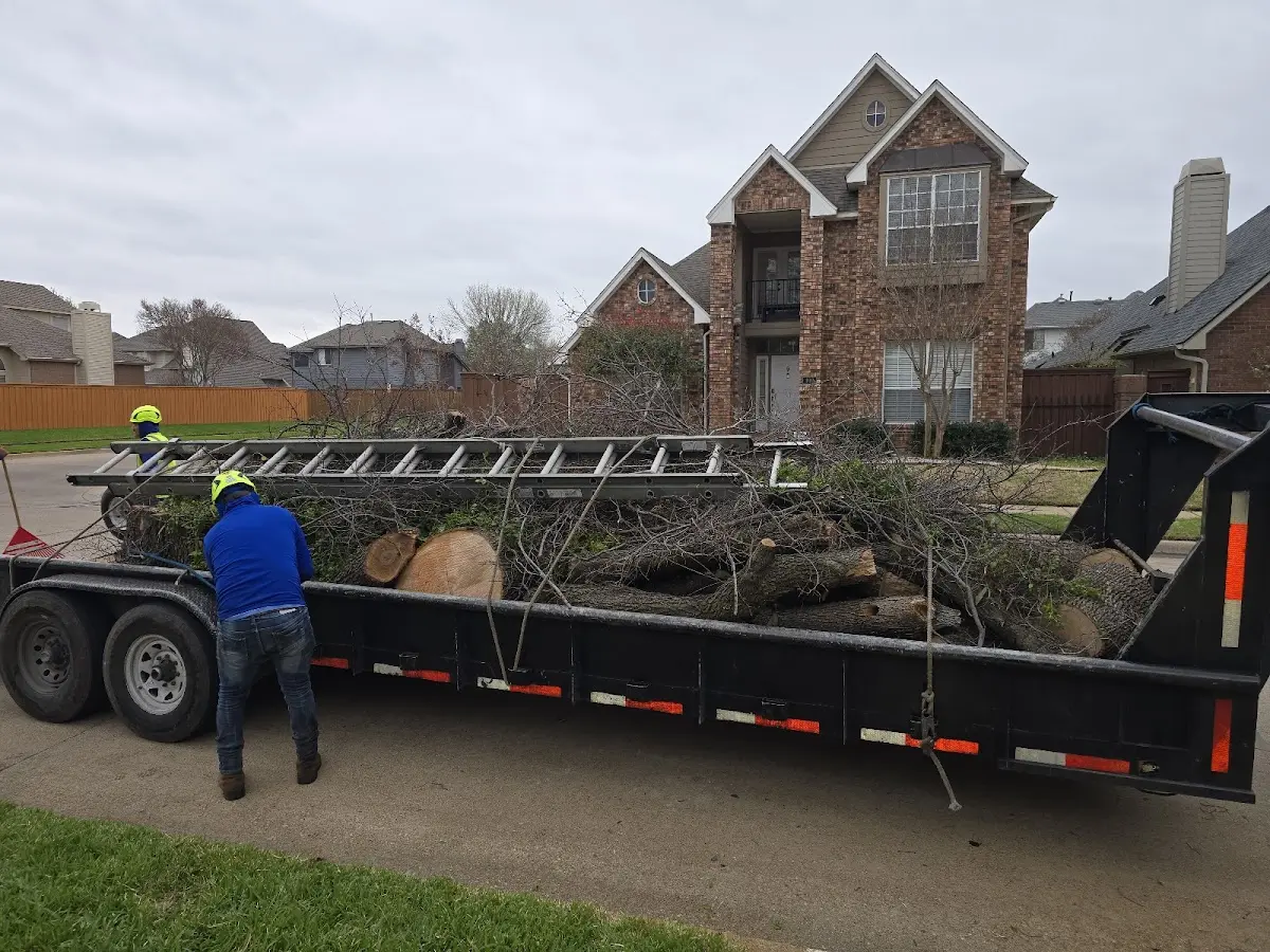 Expert Lot Clearing with proper safety equipment in Berlin Center